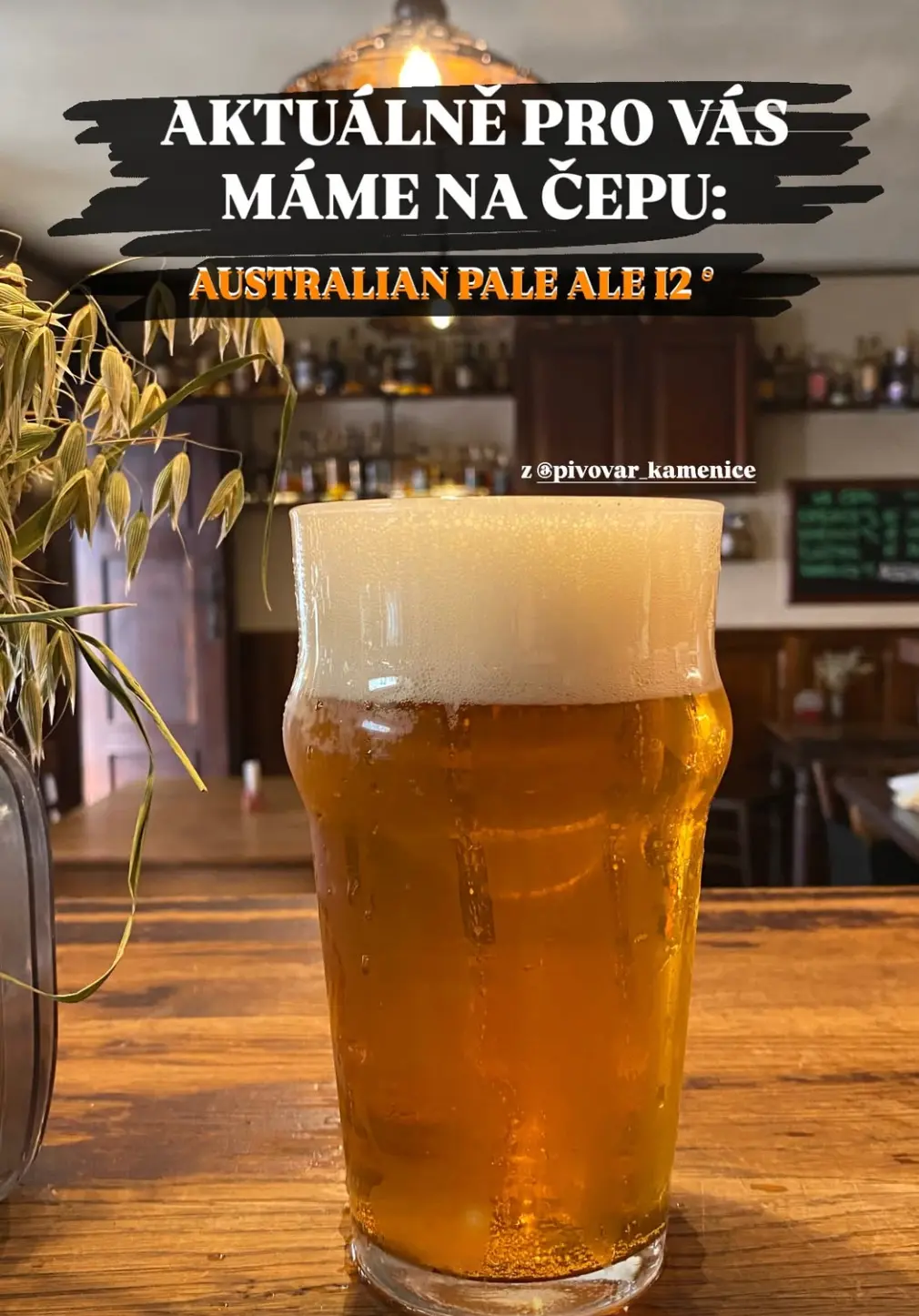 Čepované pivo v UDÍRNĚ